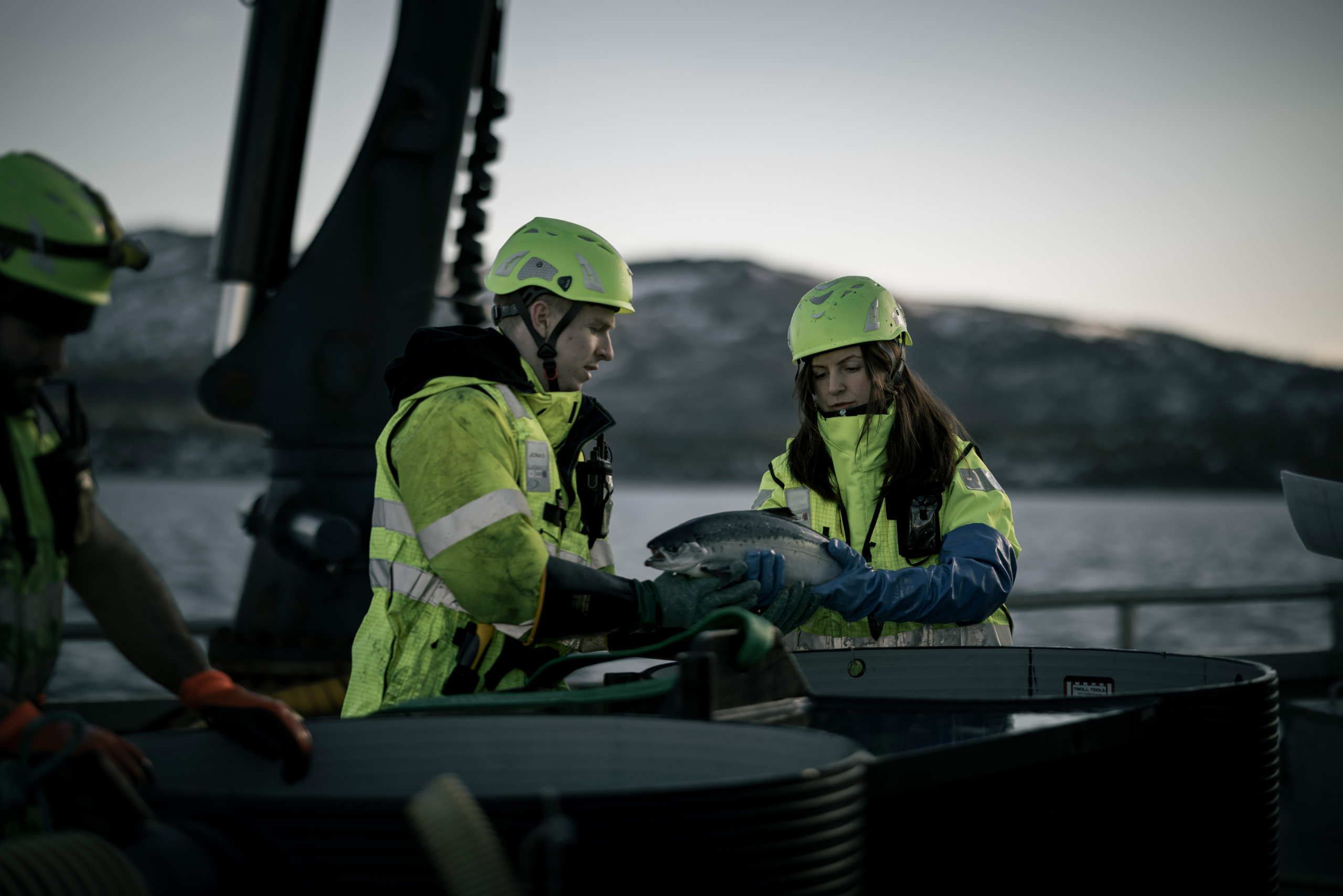 Den mest aktuelle nyheten